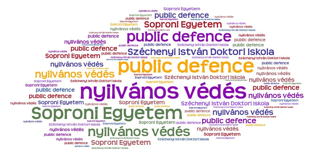 SZIDI_nyilvanos-vedes_public-defence.jpg