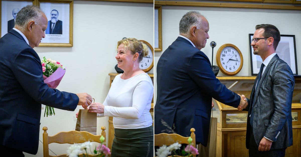 Egyetemi tanári kinevezések a Lámfalussy Karon